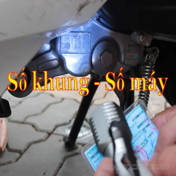 tra số khung xe máy