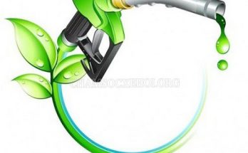 xang sinh học là gì