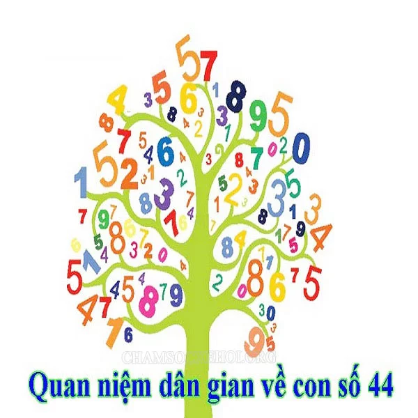 tìm hiểu về biển số đuôi 44