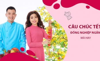 chúc tết đông nghiệp