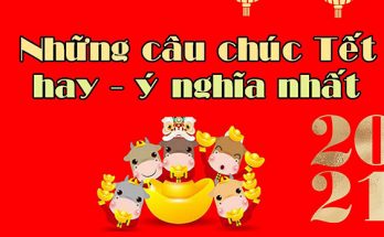 cau-chuc-tet-hay-nhat