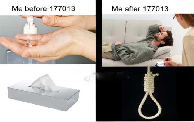 Meme 177013 trước đó và sau đó