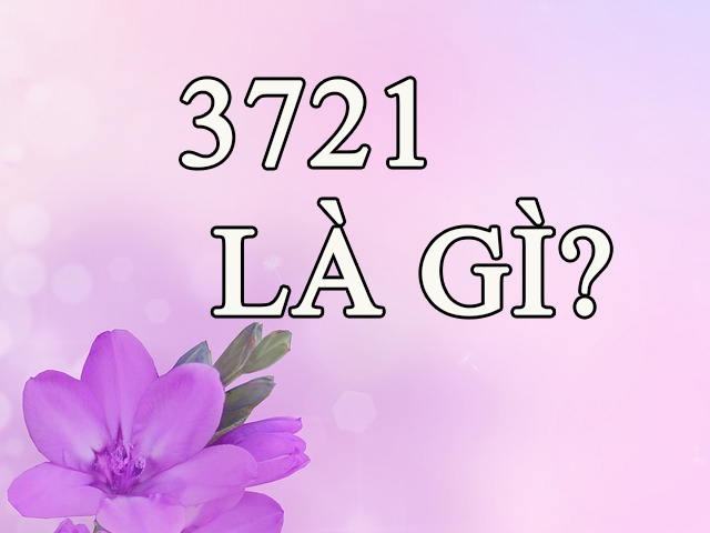 3721 là gì