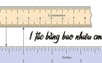 Tấc được dùng không phổ biến