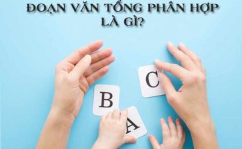 Đoạn văn tổng phân hợp là gì?