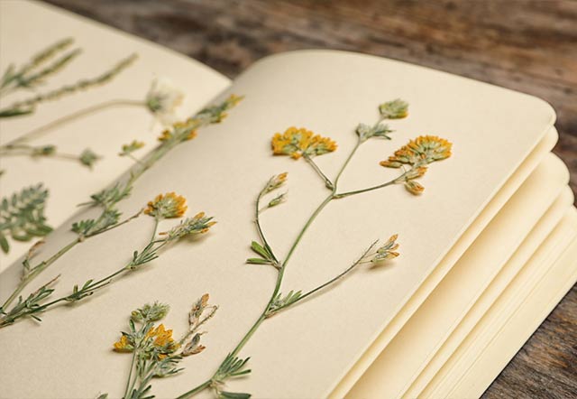 Trang trí sổ tay phong cách vintage với hoa khô