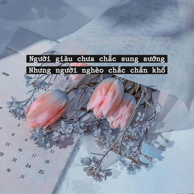 Câu nói về đời chất thấm