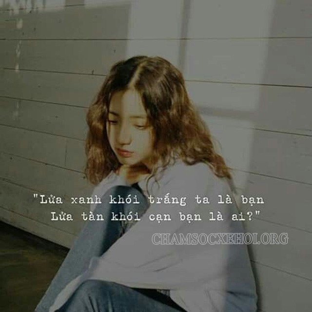 Câu nói về tình bạn mang ý nghĩa sâu sắc