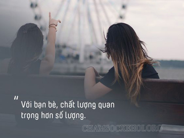 Những câu nói hay về tình bạn ngắn gọn
