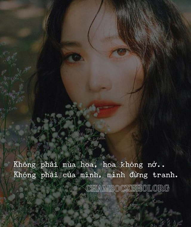 Những câu nói ngầu về tình yêu hay nhất dành cho bạn
