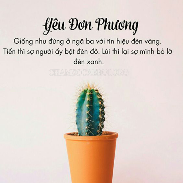 Stt diễn tả cảm xúc của những trái tim đơn phương