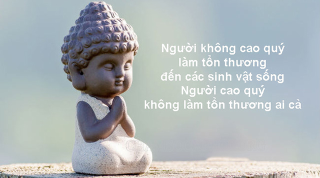 Lời Phật dạy về cách vượt qua khó khăn, bế tắc
