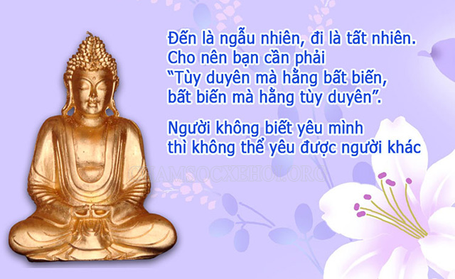 Những điều Phật dạy chúng sinh giúp bạn giác ngộ