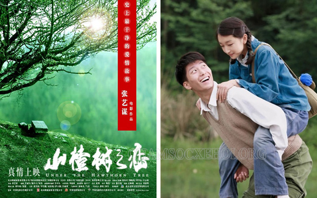 Phim điện ảnh Trung Quốc “Chuyện Tình Cây Táo Gai” - Năm 2010