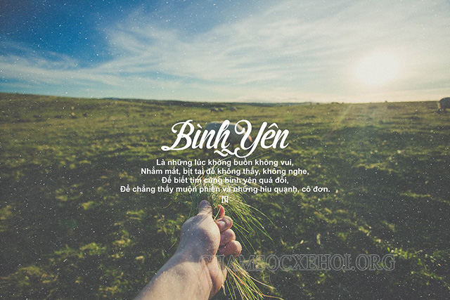 STT bình yên là gì mà chúng ta luôn tìm kiếm