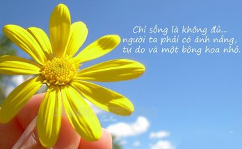 STT ngày mới ngắn gọn, súc tích và ấn tượng 