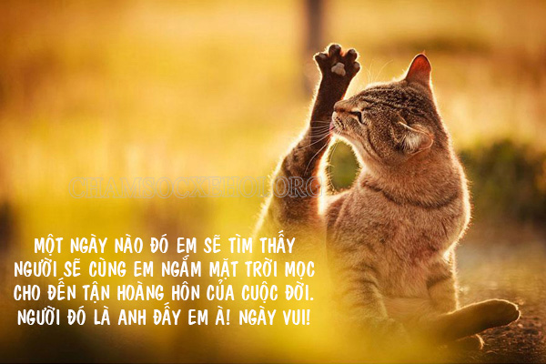 STT ngày mới cực chất, cực bá đạo