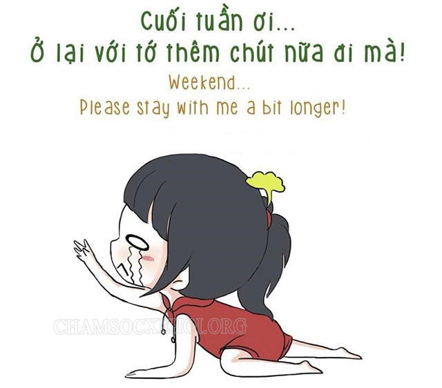 STT “níu kéo” ngày cuối tuần bá đạo