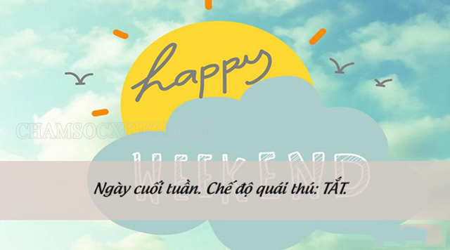 STT cuối tuần hài hước, vui nhộn