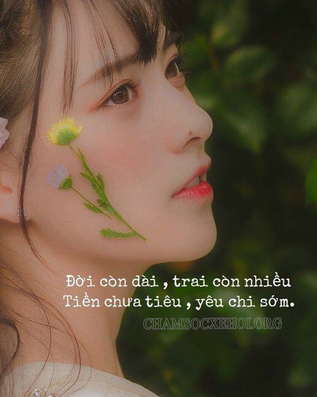 Stt dễ thương hút tương tương tác cực đỉnh