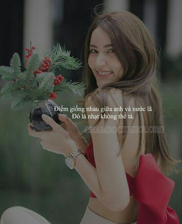 Stt ngắn gọn, chất, câu like siêu đỉnh
