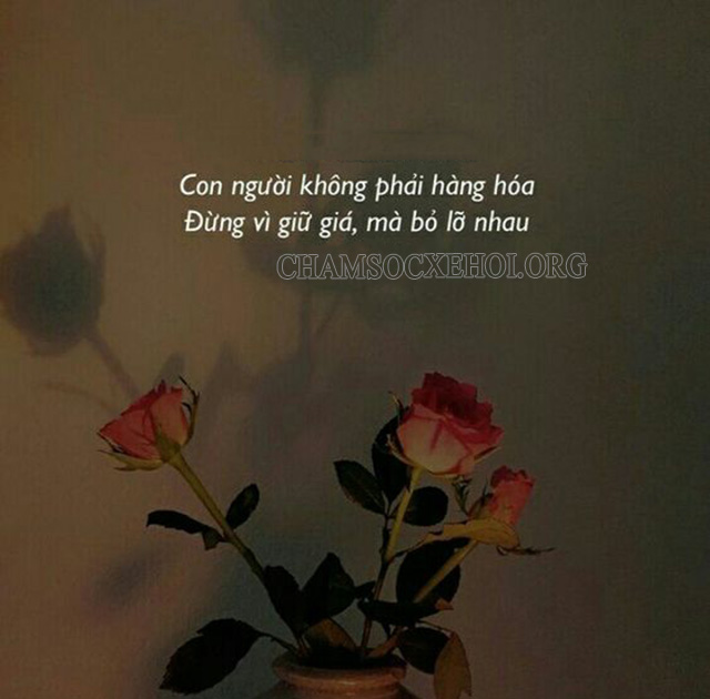 Status ngắn chất hút like siêu khủng