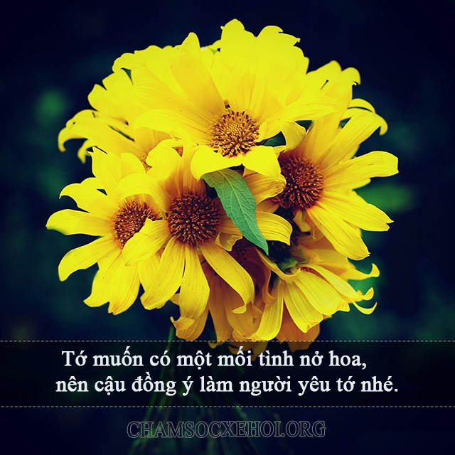 Status thả thính về hoa chất nhất