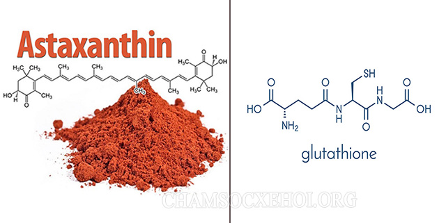 Astaxanthin và Glutathione là chất chống oxy hóa mạnh nhất