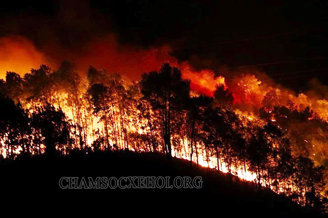 Khi nắng nóng do gió Lào gây ra kéo dài có thể gây cháy rừng