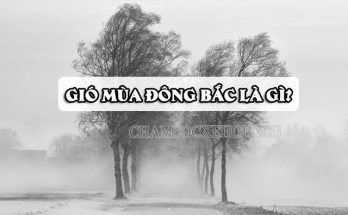 Gió mùa Đông Bắc thường xuất hiện ở khu vực phía Bắc khi mùa đông tới 