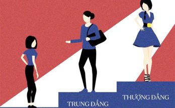 Thượng đẳng là gì?
