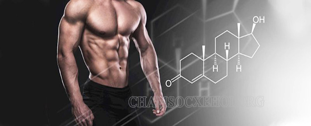 Androgenic Steroids (AAS) tăng cơ bắp