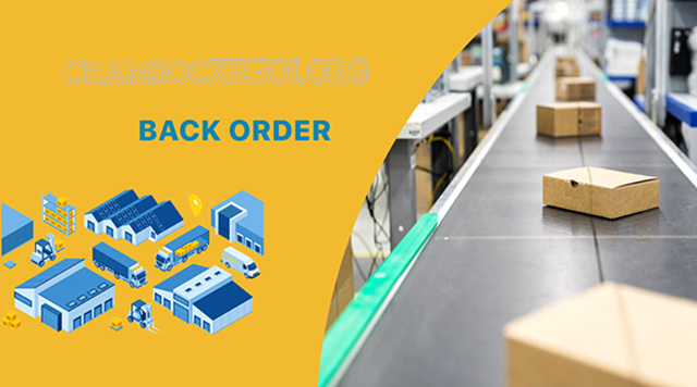 Back order dùng để chỉ các đơn đặt hàng vẫn chưa được giao vì lý do chậm trễ