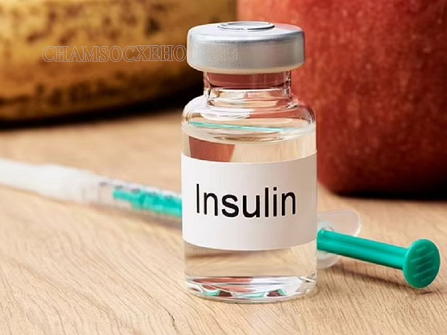 Insulins – Chất làm thay đổi chuyển hóa