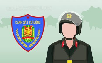 Cảnh sát cơ động là lực lượng vũ trang thuộc Bộ Công an Việt Nam