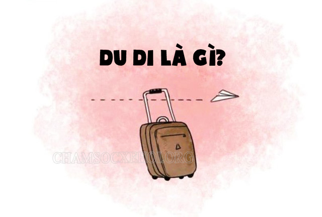 Du di là gì?