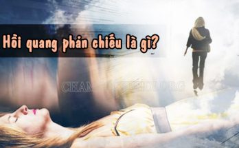 Hồi quang phản chiếu là gì?