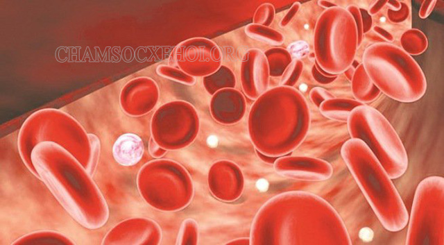 Sử dụng các hormone kích thích để sản sinh hồng cầu