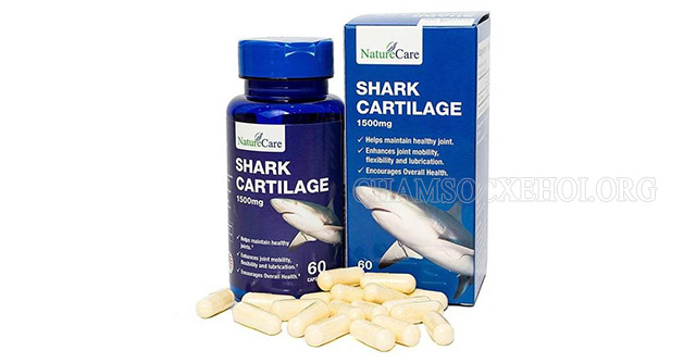 Shark cartilage là một loại thuốc tăng sức bền của sụn khớp