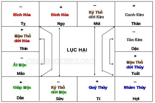 Lục hại là gì?