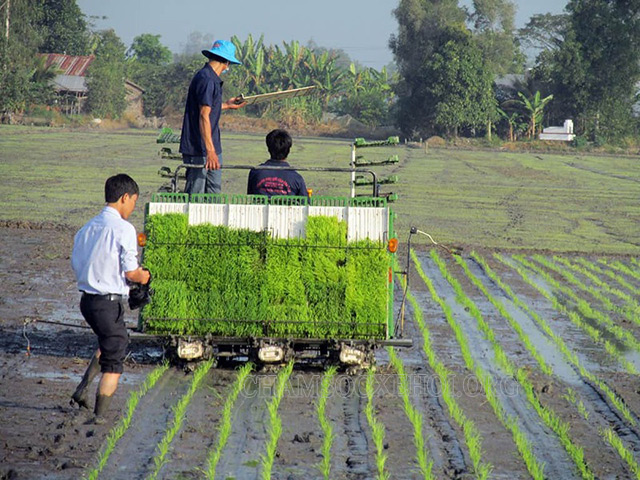 Canh tác thâm canh ra đời do nhu cầu tiêu thụ nông sản ngày càng lớn 