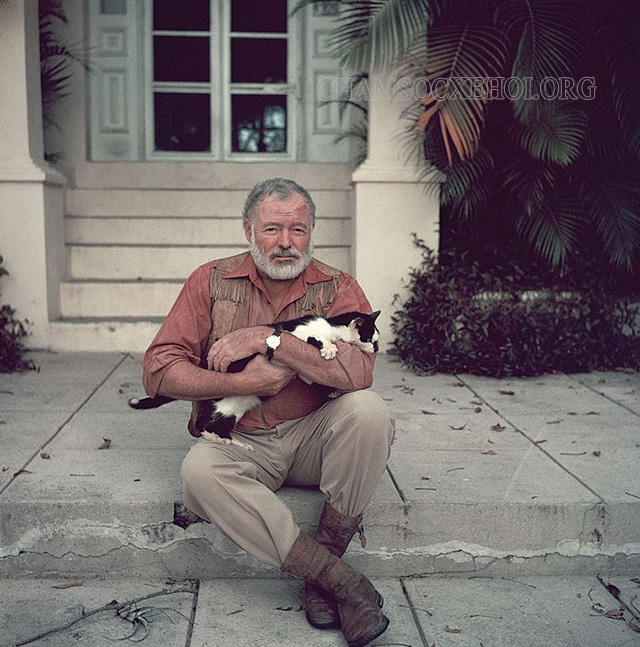  Ernest Hemingway đã đạt được nhiều giải thưởng văn học danh giá