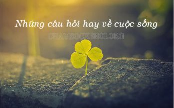 Những câu hỏi hay về cuộc sống mang nhiều ý nghĩa quan trọng
