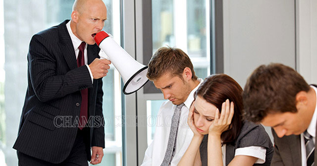 Người có tính nhu nhược khó thành công trong sự nghiệp của mình