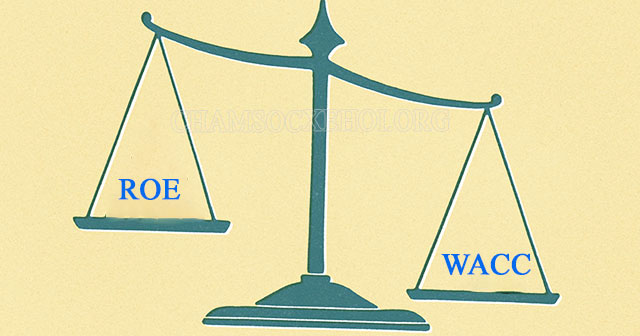 So sánh ROE và Chi phí sử dụng vốn (WACC)