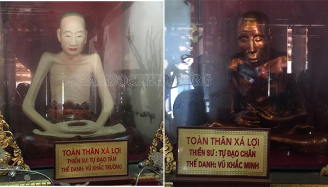 Nhục thân xá lợi của Thiền sư Tự Đạo Chân và Thiền sư Tự Đạo Tâm tại chùa Dâu 