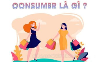 Consumer là gì?
