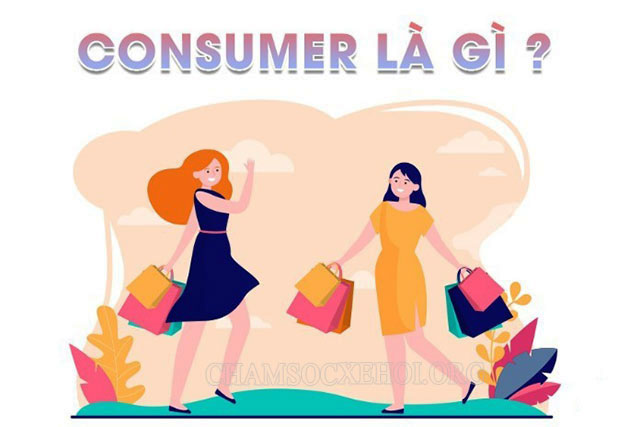 Consumer là gì?