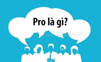 Ý nghĩa của từ “pro” là gì?