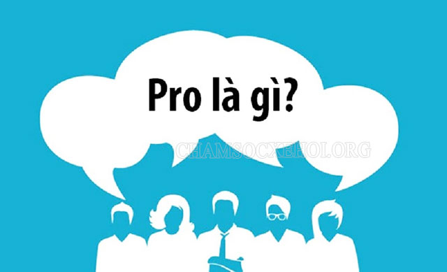Ý nghĩa của từ “pro” là gì?